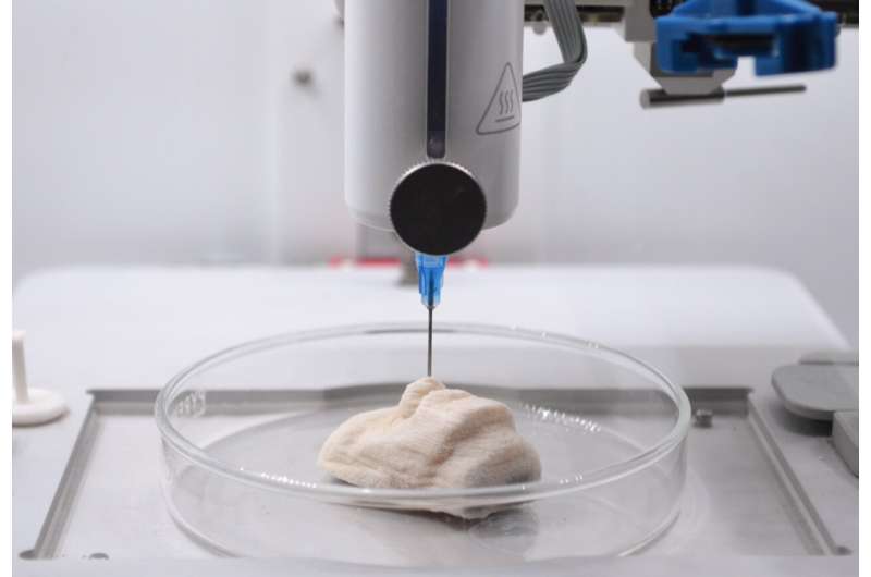 3D printing with bacteria-loaded ink produces bone-like composites