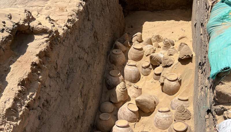 5,000-year-old wine for Egyptian queen