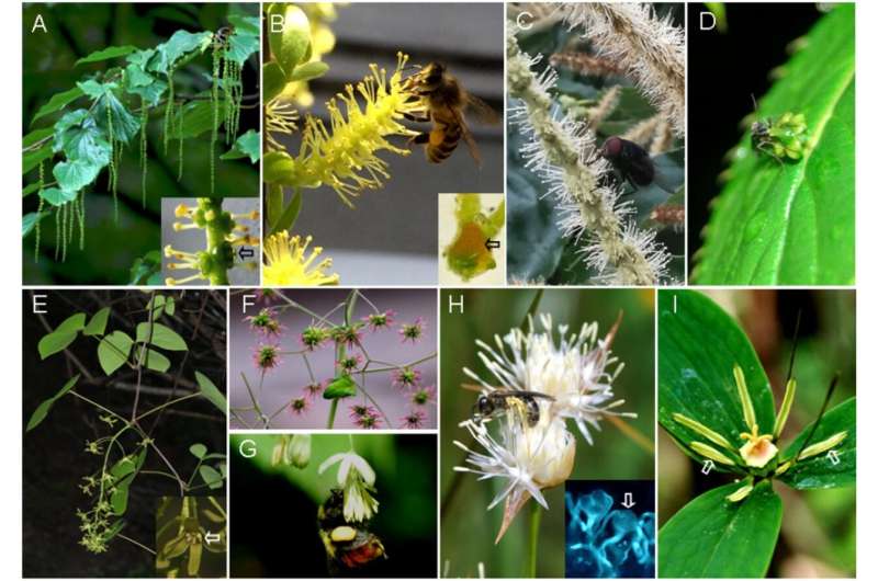 90% of flowering plant species rely on animal pollinator on the planet Earth