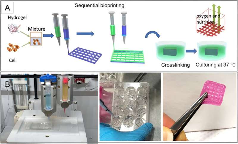 A 3-D bioprinted tumor-on-a-chip model