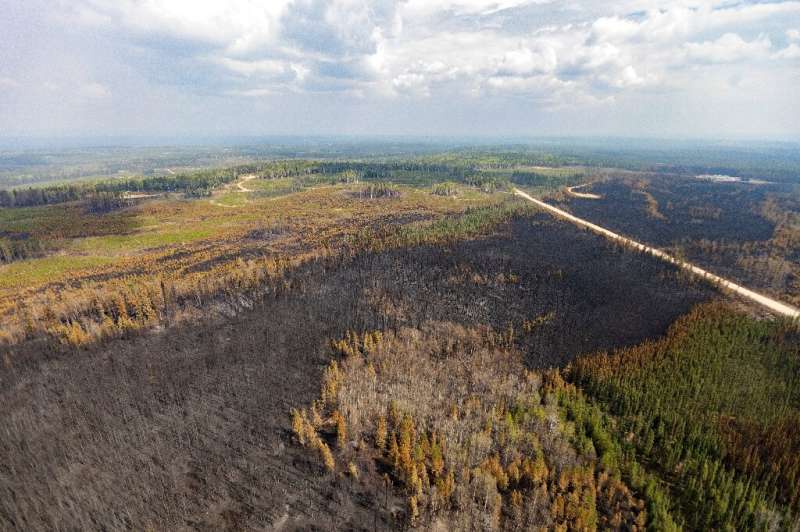 A burnt landscape caused by wildfires is pictured near Entrance, Wild Hay area, Alberta, Canada on May 10