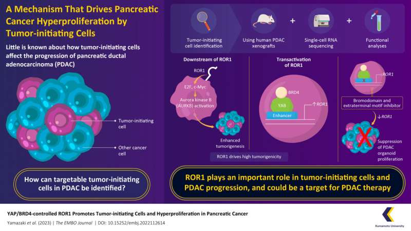 A cell surface marker for identifying tumor-initiating cells in pancreatic cancer