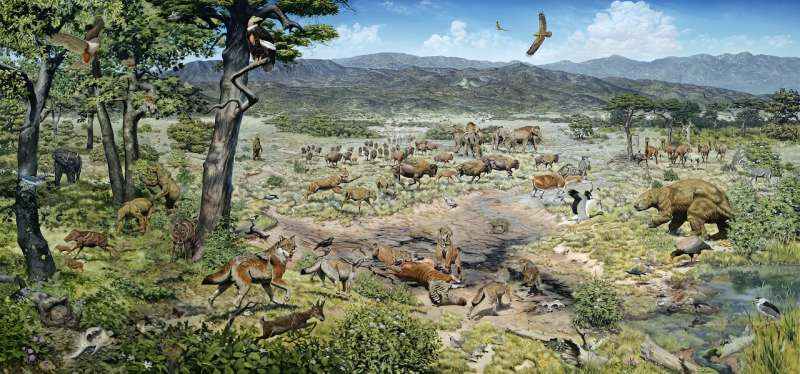 A changing climate, growing human populations and widespread fires contributed to the last major extinction event