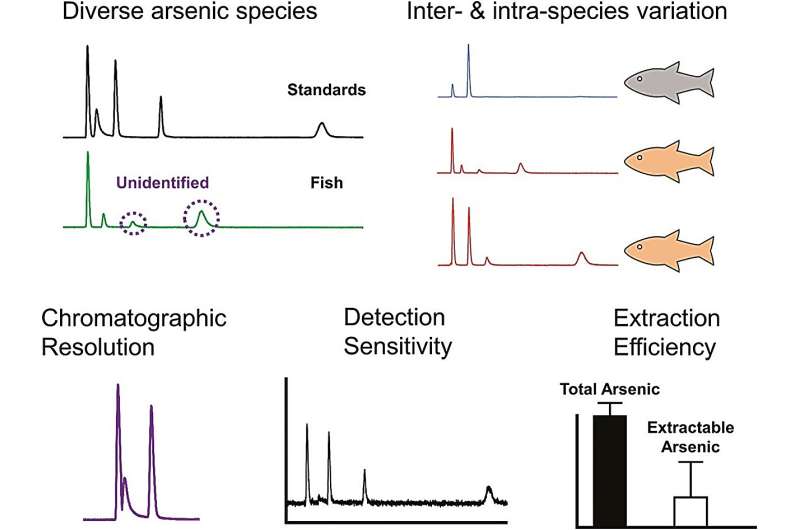 A closer look at arsenic speciation in freshwater fish: The need for comprehensive analysis