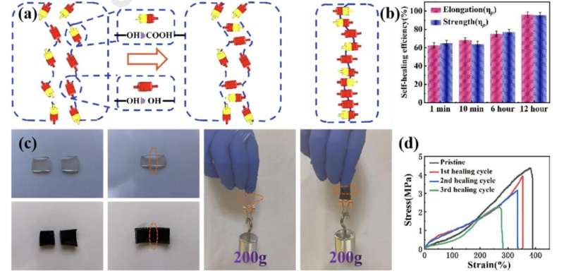 A conductive self-healing hydrogel to create flexible sensors