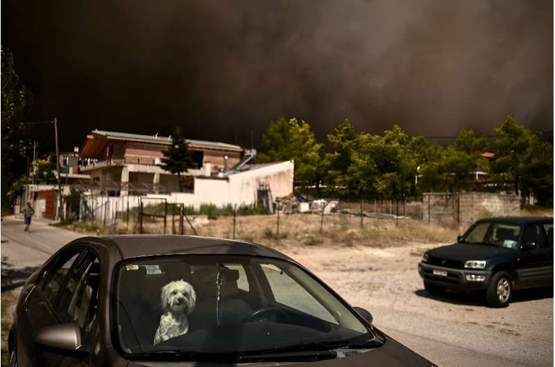 A dangerous blaze raged on Mount Parnitha near Athens, in the largest forest adjoining the capital, threatening a national park