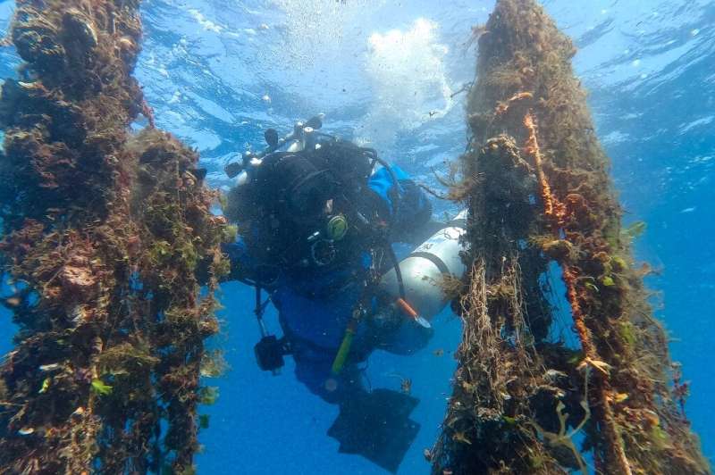 A diver retrieves a 'ghost net' from the seabed off the Greek island of Santorini