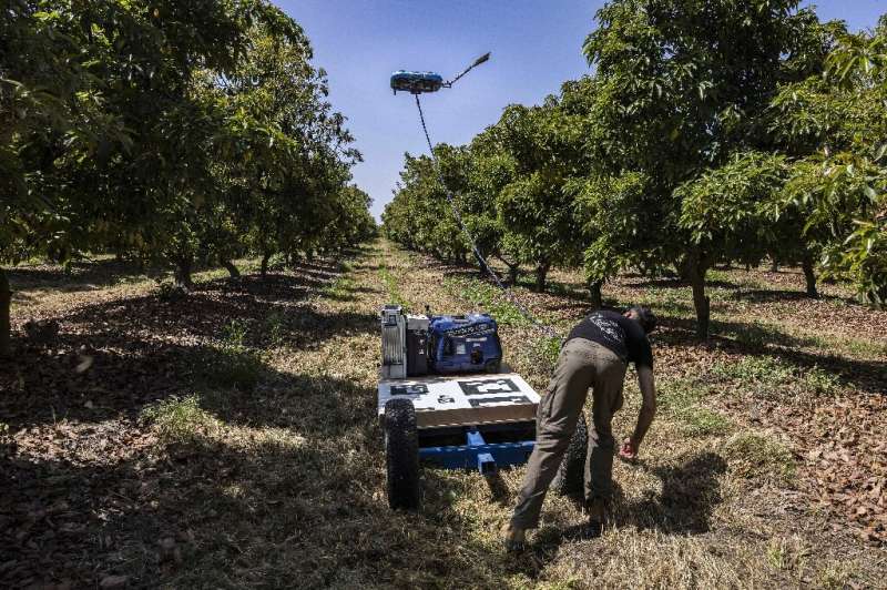 A drone with a pollination device is seen in action at the kibbutz in Eyal