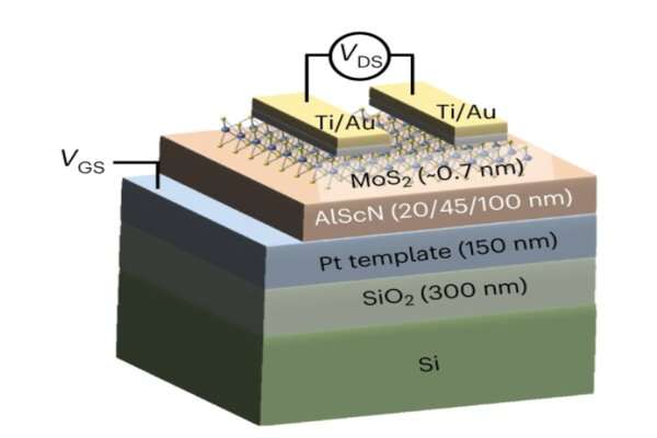 A ferroelectric transistor that stores and computes at scale
