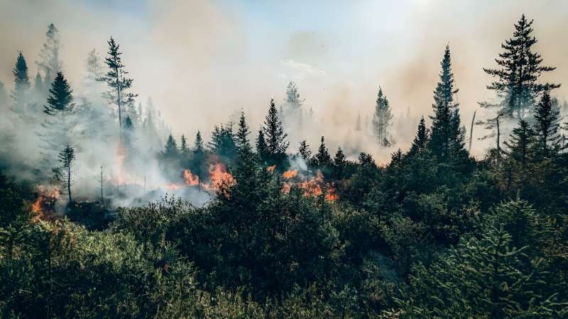 A fire burns in Quebec province of Canada in late July; Canada is experiencing its most devastating fire season ever, with nearl