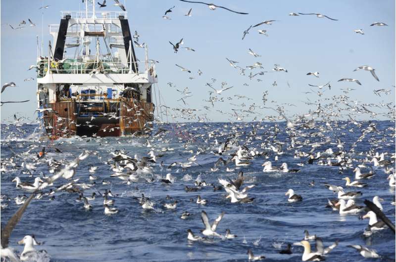 A 'fish cartel' for Africa could benefit the countries, and their seas