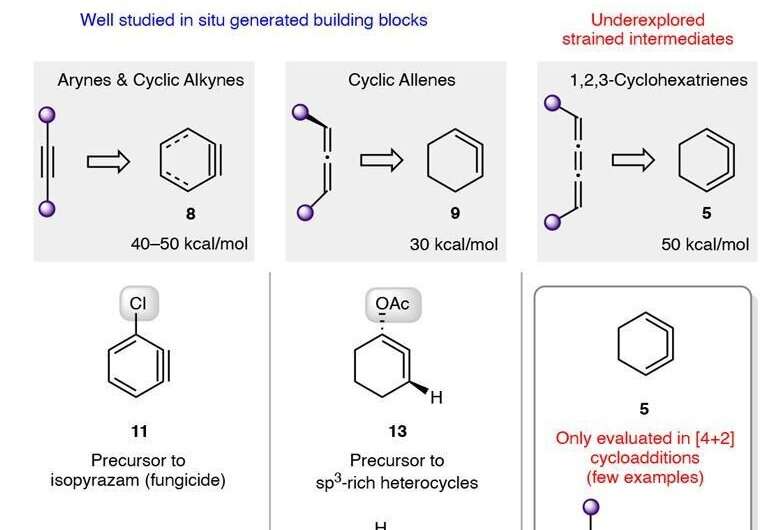 A fresh look at 1,2,3-cyclohexatriene shows it could be used as a versatile reagent in organic synthesis