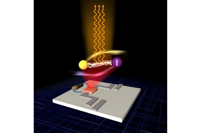 A highly performing device for polariton-based coherent microwave emission and amplification
