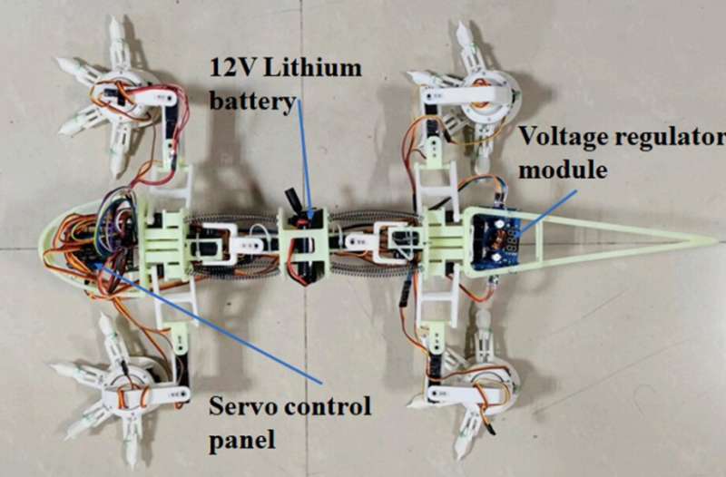 A lizard-inspired robot to explore the surface of Mars
