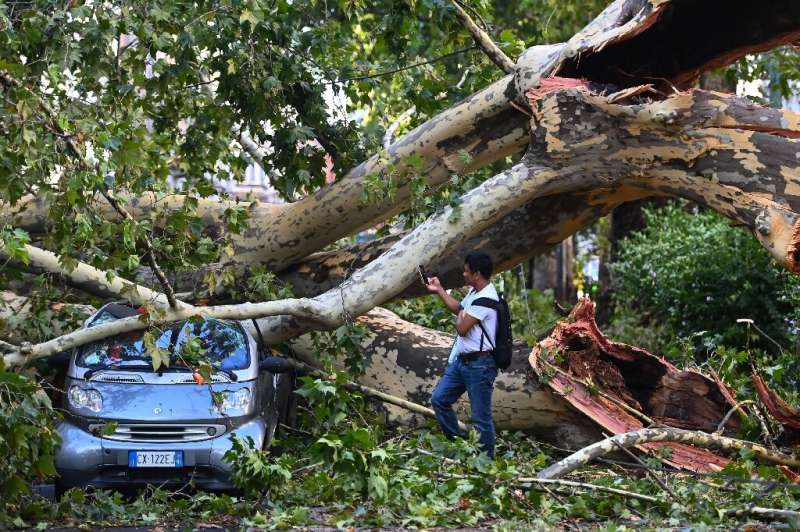 A man takes a photo of a car crushed under a fallen tree in Milan on July 25, 2023 after an overnight rainstorm hit the city.