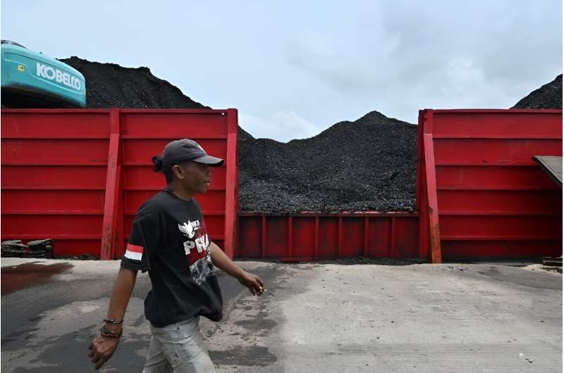 A man walks past a pile of coal at the Karya Citra Nusantara (KCN) Marunda port in Jakarta on January 17, 2022