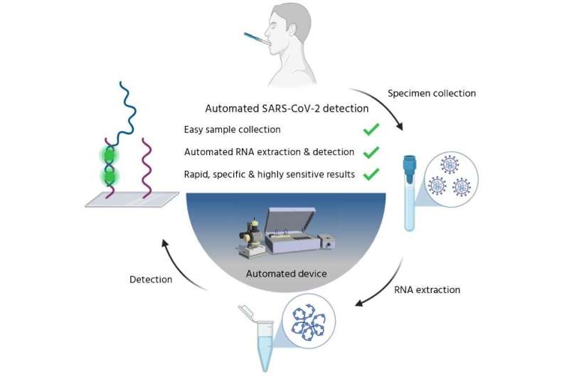 A microfluidic for detecting SARS-CoV-2