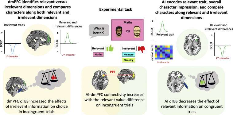 A neural pathway involved in separating and selectively sorting through social information   
