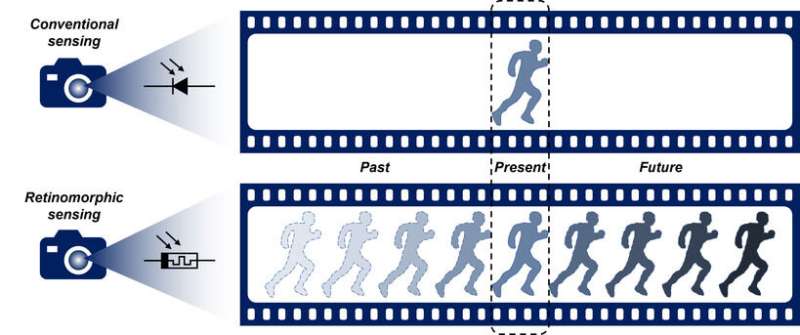 A neuromorphic visual sensor can recognise moving objects and predict their path