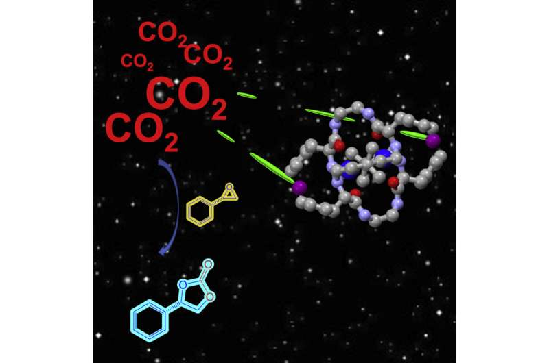 A new catalyst that transforms carbon dioxide into added-value chemical products