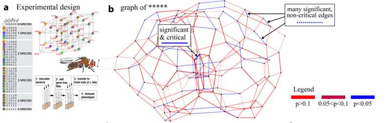 A new mathematical language for biological networks