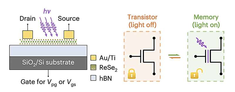 A new reconfigurable FET and memory device based on a 2D heterostructure