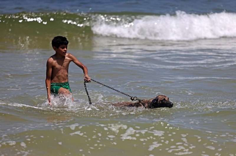 A Palestinian boy and his dog walk in the sea amidst soaring temperatures in Gaza City
