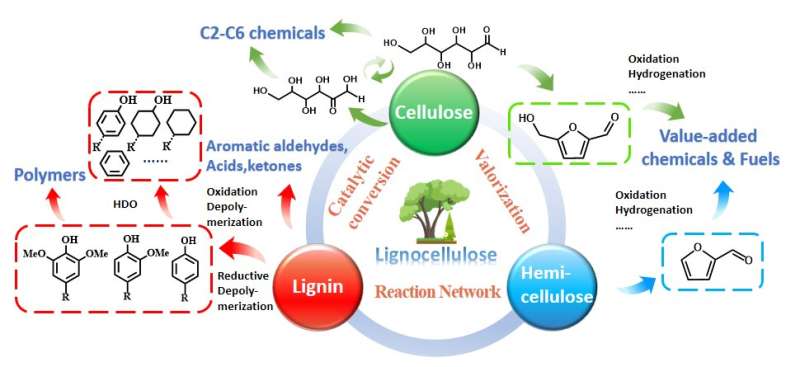 A panoramic view on catalytic conversion network for lignocellulosic biomass valorization