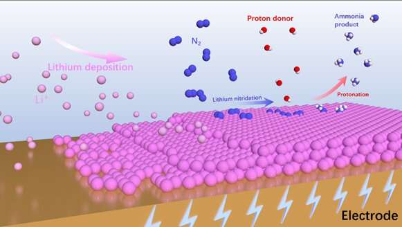 A panoramic view on lithium-mediated electrochemical dinitrogen reduction reaction