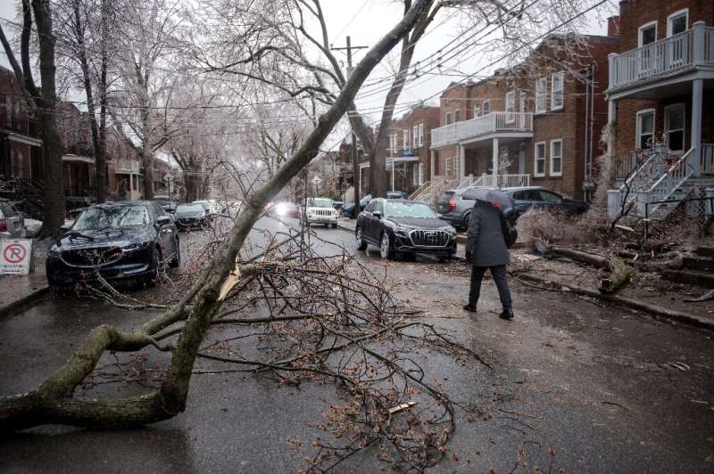 A person walks around fallen tree branches and power lines in Monkland Village after freezing rain hit Quebec and Ontario in Mon