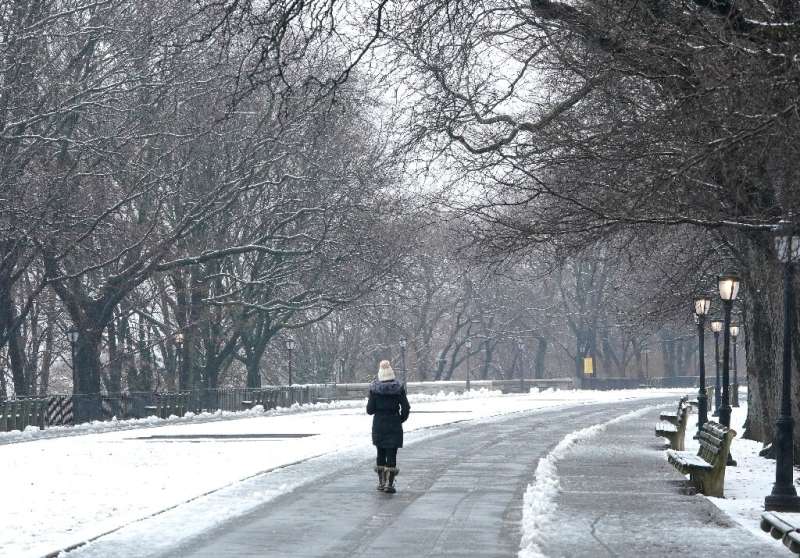 A person walks through Riverside Park on New York's West Side on February 28, 2023