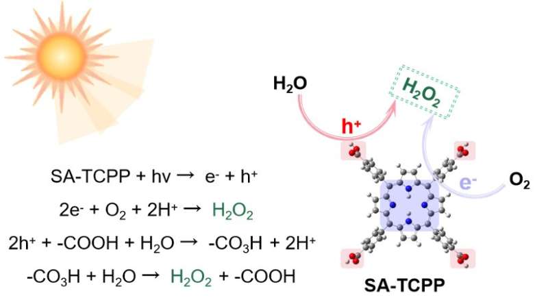 A photocatalyst that can produce hydrogen peroxide from oxygen and water