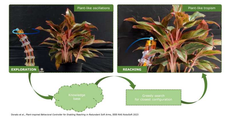 A plant-inspired controller that could facilitate the operation of robotic arms in real-world environments