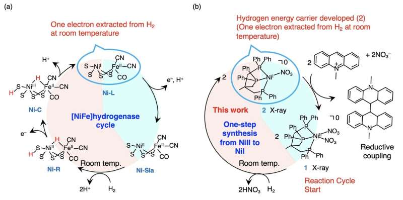 A potentially cheaper and 'cooler' way of hydrogen transport