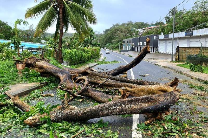 A road blocked by the uprooted trees after Cyclone Judy made landfall in Port Vila, Vanuatu earlier in March -- the Pacific nati