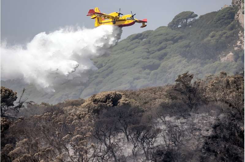 A Royal Moroccan Air Force firefighting plane douses a wildfire in Tangier