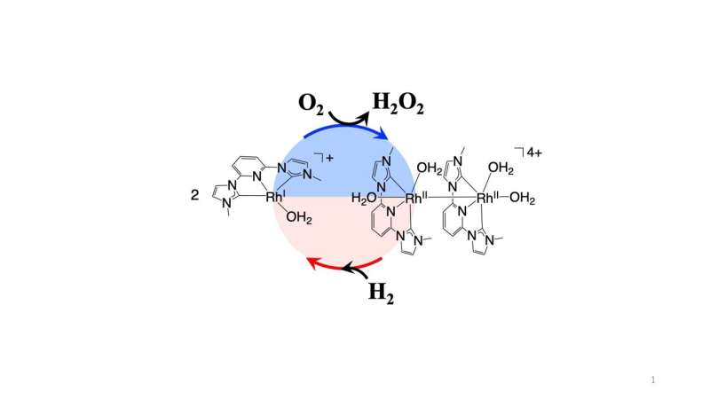 A safe synthesis of hydrogen peroxide inspired by nature