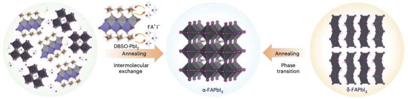 A strategy to reduce defects in inverted perovskite solar cells and improve their performance