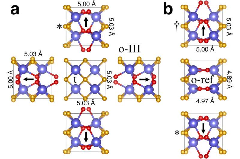 A theoretical approach to ferroelectricity in hafnia-related materials