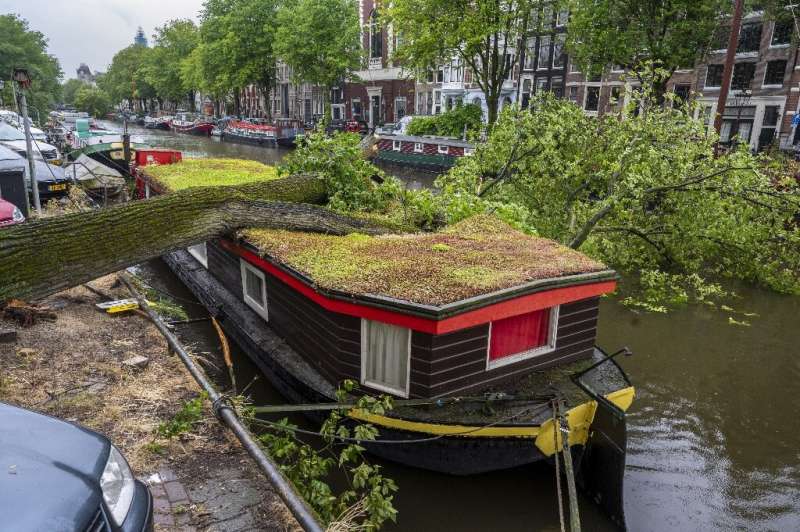 A tree toppled by Storm Poly landed on a houseboat in Amsterdam