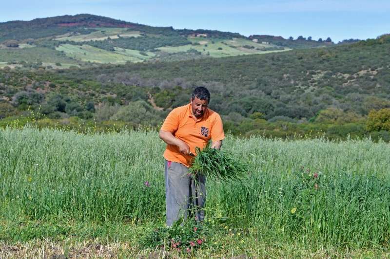 A Tunisian association has set up a project called 'Plant Your Farm' hoping to create 50 micro-farms over five years to show tha