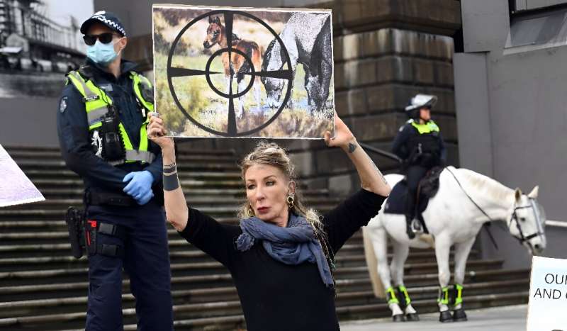 A woman holds a placard during a protest over the proposed culling of wild Australian horses in 2020