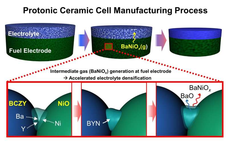 Accelerating the commercialization of solid oxide electrolysis cells that produce green hydrogen