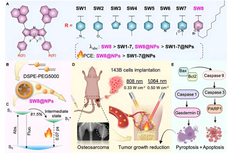 Acceptor engineering produces ultrafast nonradiative decay in NIR-II Aza-BODIPY nanoparticles for efficient osteosarcoma photothermal therapy via concurrent apoptosis and pyroptosis