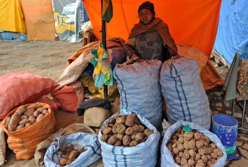 According to the International Potato Center, based in Peru, there are more than 4,000 varieties of edible potato, most of them 