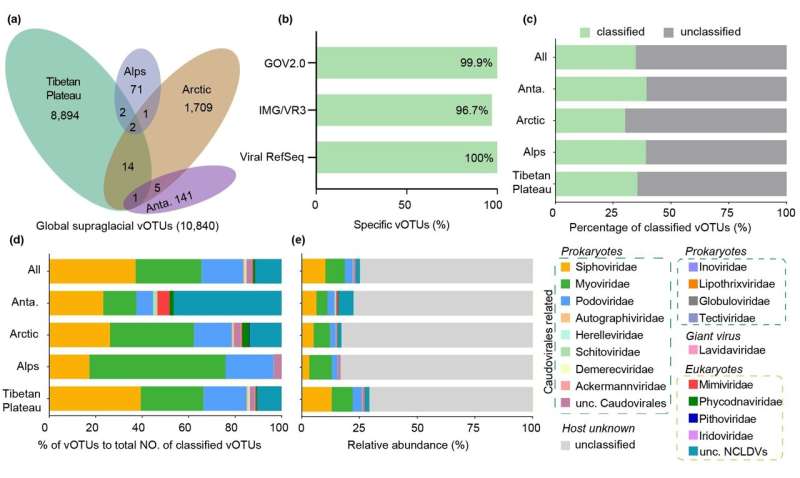 Acellular players in the high cryosphere: diversity, function and activity of the global supraglacial DNA viruses