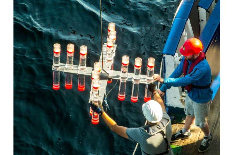 Adapting to hypoxia: Zooplankton influence the efficiency of the biological carbon pump in the Humboldt Current