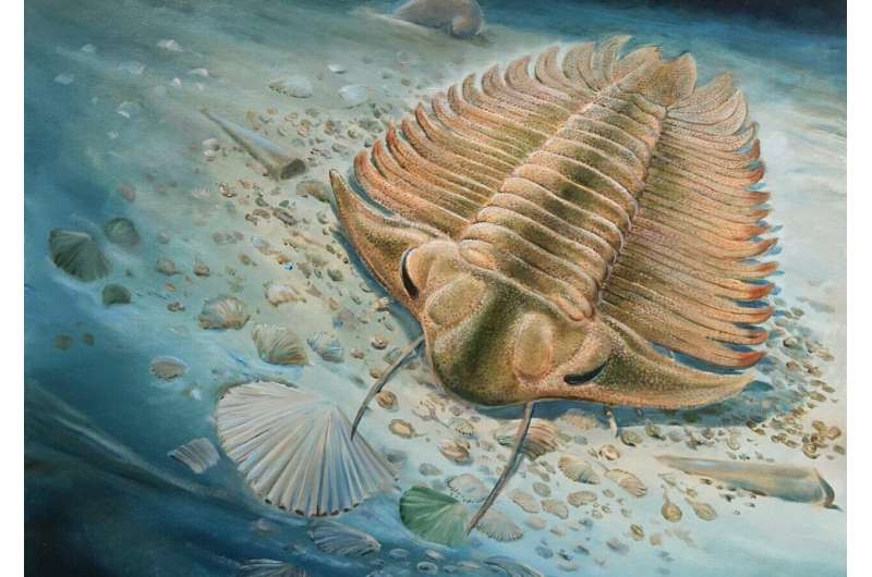 Advanced imaging reveals the last bite of a 465-million-year-old trilobite