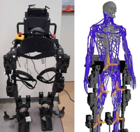Advanced universal control system may revolutionize lower limb exoskeleton control and optimize user experience