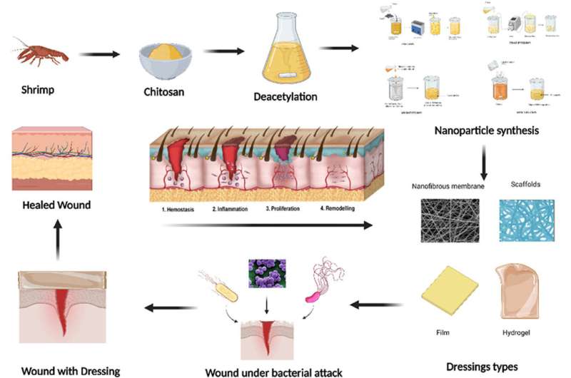 Advancements in sustainable nano-composites for wound dressings